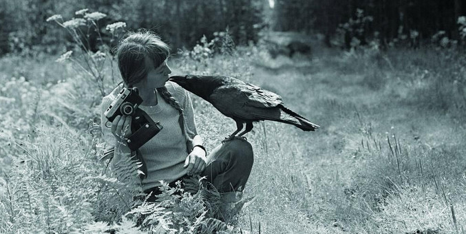 Na zdjęciu Simona Kossak siedząca w trawie. W prawej ręce trzyma aparat fotograficzny, na lewym kolanie kruka Koraska, który dziobem dotyka jej ust,